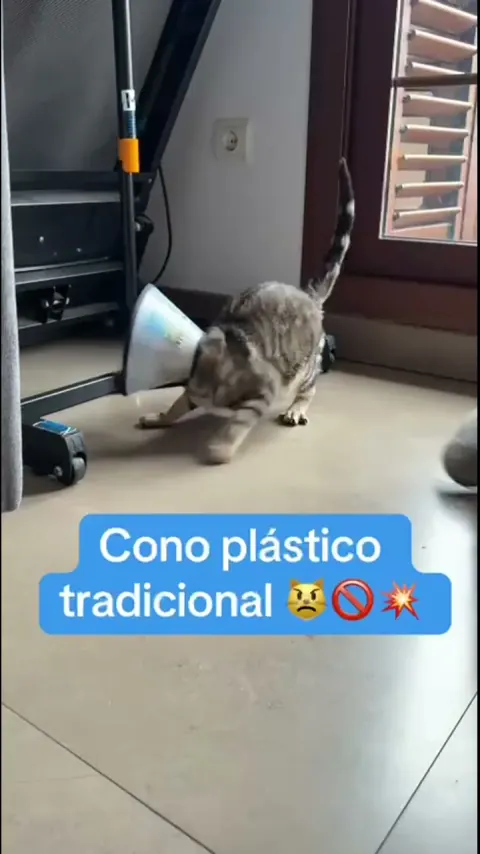 Michimood ad demonstrating a soft recovery collar on a cat.